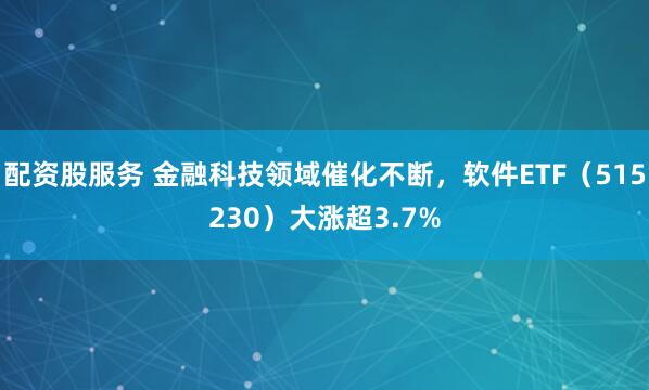 配资股服务 金融科技领域催化不断，软件ETF（515230）大涨超3.7%